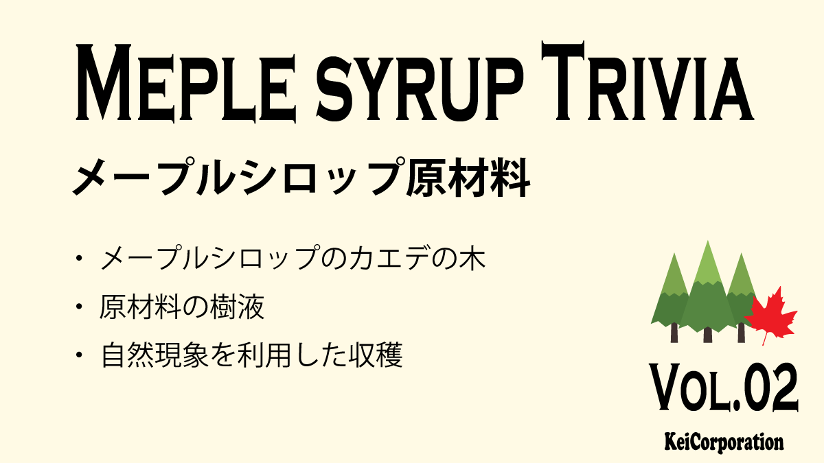 メープルシロップ豆知識Vol.02